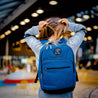 The DayTripper